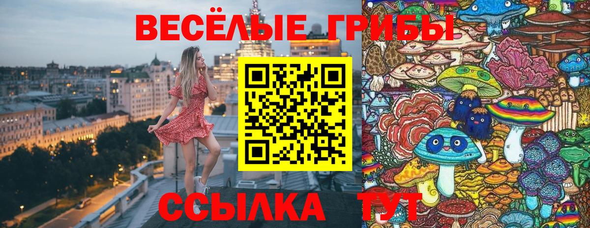 Урус-Мартан  Галлюциногенные грибы Psilocybe  где купить наркоту  Вход с VPN 